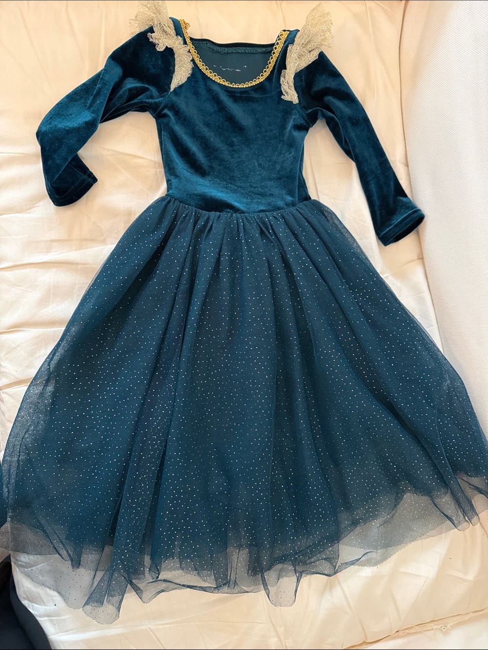 Girls Dark Teal Velvet Princess Dress with Gold Trim